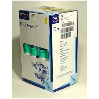 Energan Ketose 12x300g