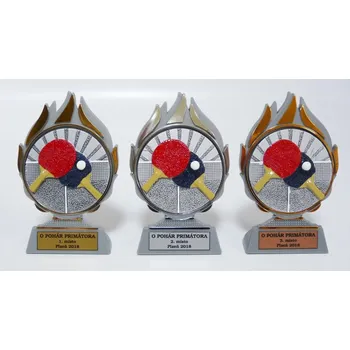 VIZINGR Stolní tenis plakety Q120-FG015