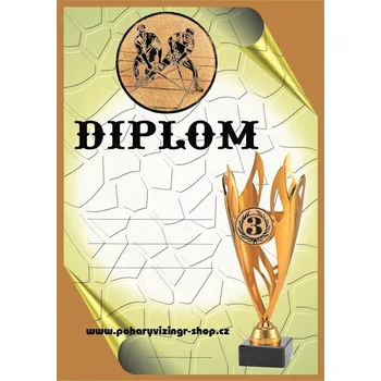 Florbal diplom A4 č.22