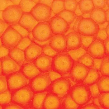 Speciální výtvarná barva Barva Pébéo Fantasy Prisme 45ml – 61 Fluorescent orange (Barva Pébéo Fantasy Prisme 45ml – 61 Fluorescent orange)