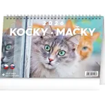 Notique Stolní kalendář Kočky 2026