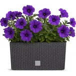 ProsperPlast Květináč RATO CASE s vkladem | umbra 39,5 cm