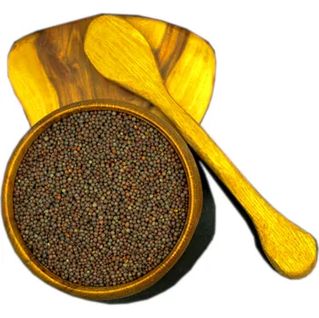 Koření Koření Skýpala Hořčice černá celá 100 g