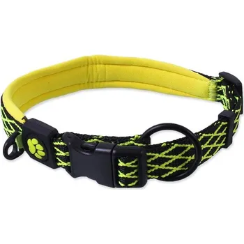 Obojek pro psa Obojek ACTIV DOG Mystic limetka L