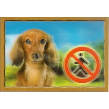 Informační tabulka Cedulka 3D PSI, Jezevčík dlouhosrstý