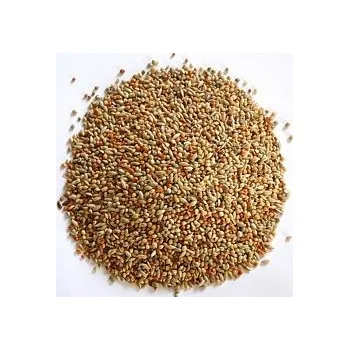 Krmivo pro ptáka apetit exot kbelík 3L