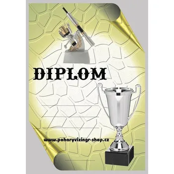 VIZINGR Naviják diplom A4 č.28