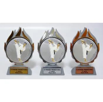 Karate plakety Q120-FG005