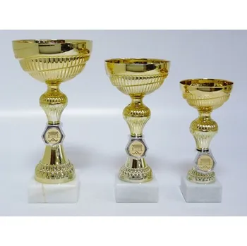 Pozemní hokej poháry 2974-167