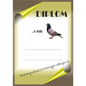 VIZINGR Holubáři diplom A4 č.15