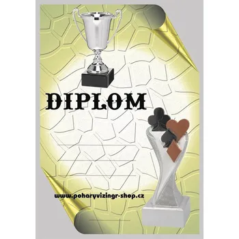 VIZINGR Karty diplom A4 č.18