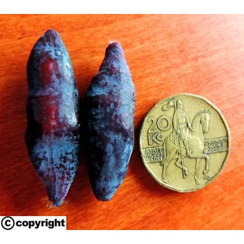 Sazenice Zimolez kamčatský ´Vostorg´ (Lonicera kamtschatica ´Vostorg´)