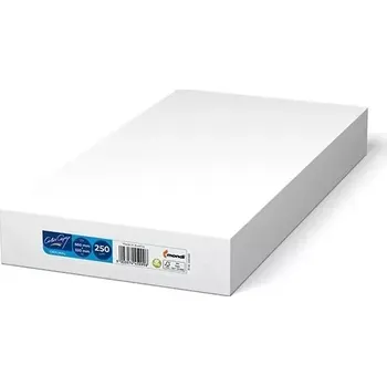 Kancelářský papír Xerox Papír Colotech - ColorCopy 250ks 660 x 330 SG (200)