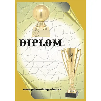 Volejbal diplom A4 č.33