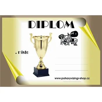 VIZINGR Bench press diplom A4 č.6