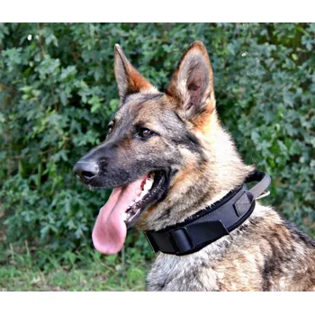 Obojek pro psa Obojek podšitý s uchem 4 x 55 cm