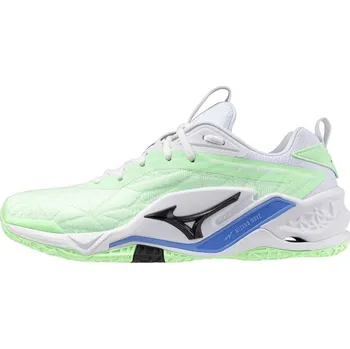 Pánská sálová obuv Mizuno Wave Stealth Neo 2 X1GA240086, 40