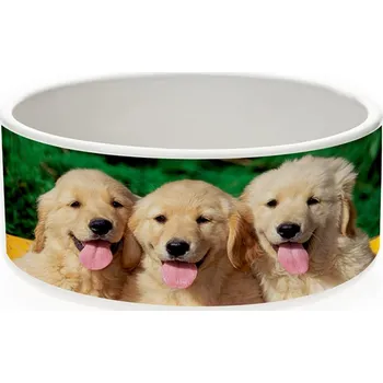 Miska pro psa Miska pro psa