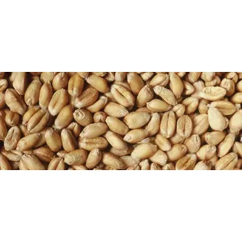 Pro hlodavce Pšenice krmná 1 kg vážená 1 kg