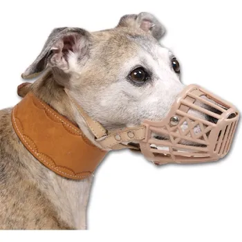 Náhubek pro psa Náhubek Safeguard č.6 - Labrador