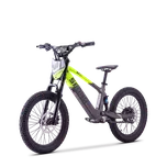 SANO SEDNA Dětské elektrické balanční kolo SEDNA SX 20" zelená