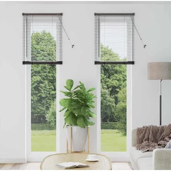 Roleta Žaluziové rolety se záclonami Černá 220 x 55 cm Hliník