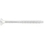 SPEED vrut do dřevotřísky zápustná hlava 4.0x50 část. závit, PZ 2, povrch EFP (500 ks)