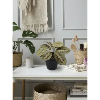 umělá květina Sinsay - Dekorativní umělá rostlina - vícebarevná - 702GN-MLC - 702GN-MLC-ONE