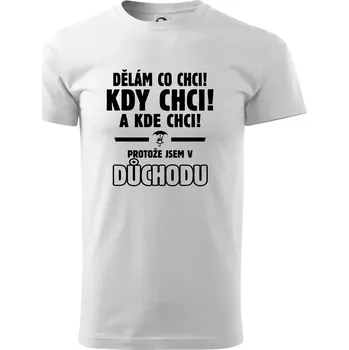 Pánské tričko Dělám co chci, kdy chci důchod - Triko extra velké (5-8XL) - 6XL ( Bílá )