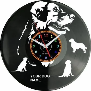 Hodiny Nástěnné hodiny Evevo 30 cm