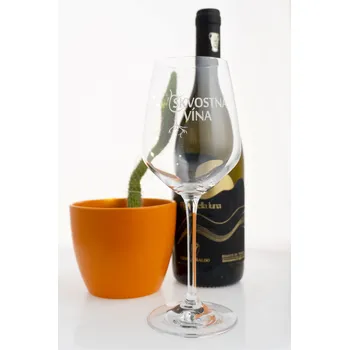 Sklenice Sklenice Skvostná vína 340 ml
