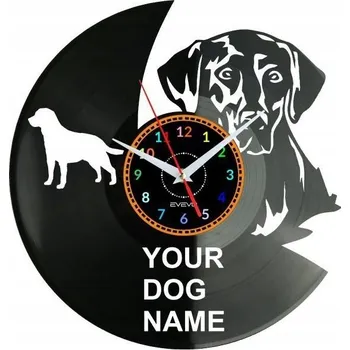 Hodiny Nástěnné hodiny z vinylové desky s motivem psa Zlatý retrívr a Vaším jménem - Moderní design