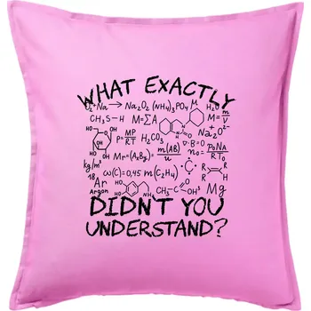 Polštář What exactly didnt you understand Chemistry - Polštář 50x50 - 50x50 - Pouze potah ( Růžová )
