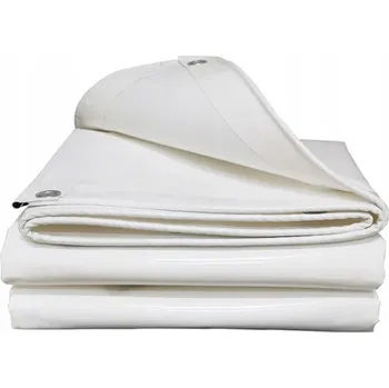 Krycí plachta Plachta 100 g/m2 4 x 5 m