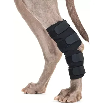 Ochrana nohy a ocasu Chránič hlezna Back on Track pro psa M