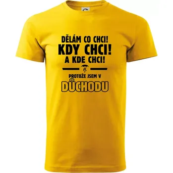 Pánské tričko Dělám co chci, kdy chci důchod - Triko extra velké (5-8XL) - 8XL ( Žlutá )