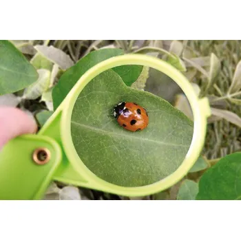 Lupa Lupa, dětská, plast/sklo, 7x15cm, zelená|Esschert Design