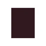 Inebrya Bionic Color barva na vlasy na všechny typy vlasů 100 ml odstín 4/5 Chestnut Mahogany unisex