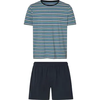 Pánské pyžamo esmara Men Pánské pyžamo (pruhy/modrá, S (44/46))