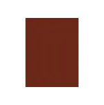 Inebrya Bionic Color barva na vlasy na všechny typy vlasů 100 ml odstín 6/5 Dark Blonde Mahogany unisex