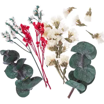 umělá květina DP Craft Sušené dekorativní květy a lístky, ecru a růžová