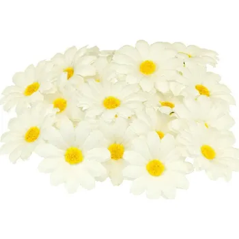 Žertovný předmět Ptákoviny CB Sada kopretin - 20ks