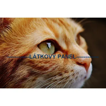 Látkový panel - Kočka - KČ-05 Velikost: 10x7cm, Materiál: Úplet
