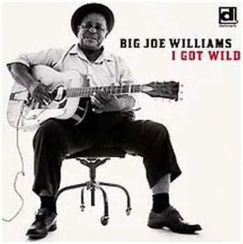 Zahraniční hudba CD Big Joe Williams: I Got Wild 2010