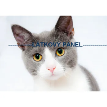 Látkový panel - Kočka - KČ-11 Velikost: 20x13cm, Materiál: Bavlna