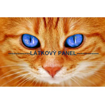 Látkový panel - Kočka - KČ-12 Velikost: 20x13cm, Materiál: Kočárkovina