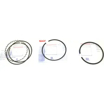 Píst motoru Sada pístních kroužků CITROEN SAXO XSARA - PEUGEOT 106 206 306 - 1.6 (NE 8937430000)