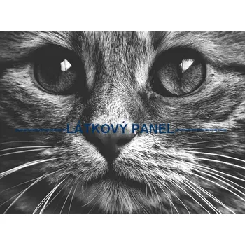 Látkový panel - Kočka - KČ-15 Velikost: 30x20cm, Materiál: Kočárkovina