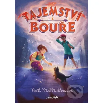 Kniha Tajemství z bouře - Beth McMullen Grada