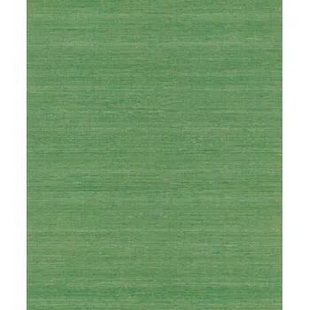 Tapeta Tapeta na zeď zelená, imitace plátna Mandalay 528862 RASCH